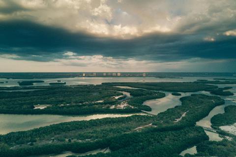 pexels-joshsorenson-378272