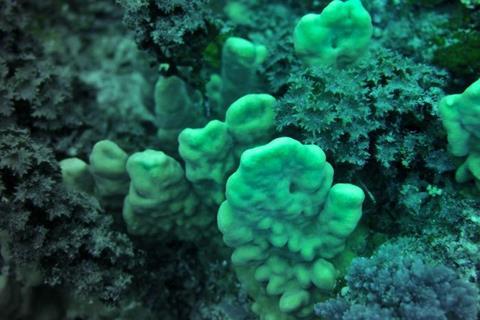 Low-Res_DSC05425 reduced