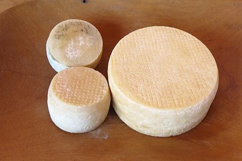 Cheese_of_Brazil_(20298711736)