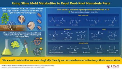 Low-Res_Infographic_Sep_23_2025 (1)