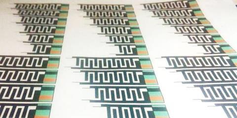Low-Res_Figure_3_transient