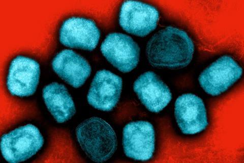 Mpox Virus Particles