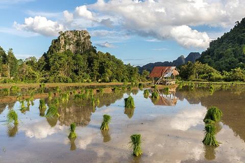 Water_reflection_of_mountains,_hut,_green_rice_sheaves_scattered_in_a_paddy_field_and_clouds_with_blue_sky_in_Vang_Vieng,_Laos