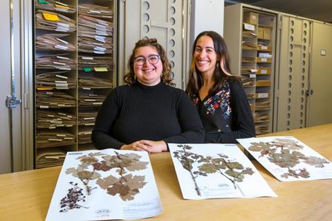 Low-Res_20241210 Almeida Lab_Herbarium-6168