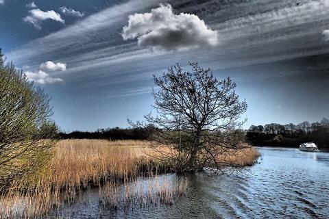 Norfolk_Broads_-_panoramio_(29)