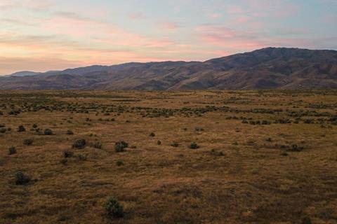 pexels-brett-sayles-5016598