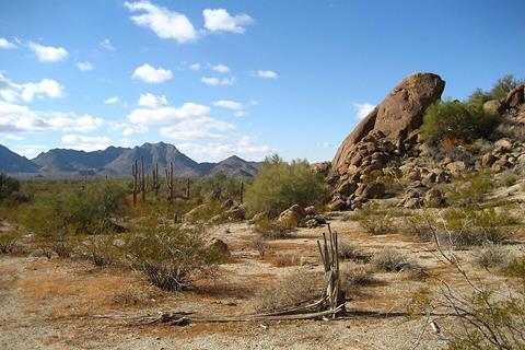 Sonoran_Desert_33.081359_n112.431507