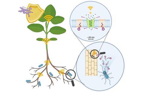 Low-Res_ONGENA Nature plants 2026