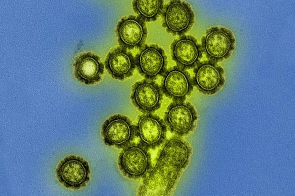 Apriori Bio and A*STAR Infectious Diseases Labs Announce strategic ...